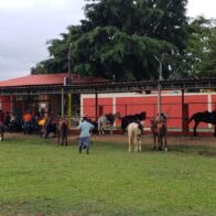 Bonao and its equestrian tourism | De Último Minuto English
