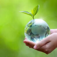 Earth Day: Why is it important and since when is it commemorated? | De Último Minuto English