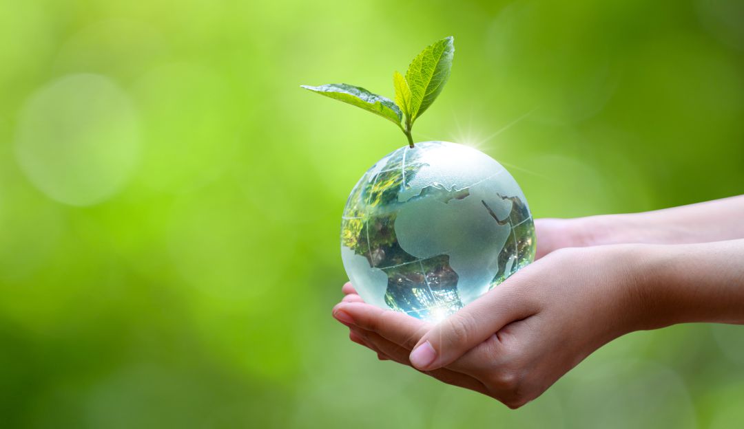 Earth Day: Why is it important and since when is it commemorated? | De Último Minuto English