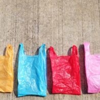 July 3rd: International Plastic Bag Free Day | De Último Minuto English