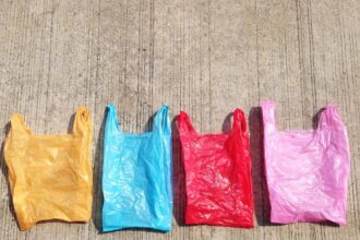 July 3rd: International Plastic Bag Free Day | De Último Minuto English