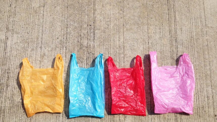 July 3rd: International Plastic Bag Free Day | De Último Minuto English