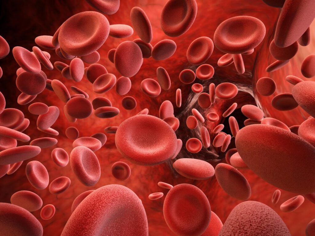 April 17: World Hemophilia Day | De Último Minuto English