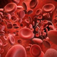 April 17: World Hemophilia Day | De Último Minuto English