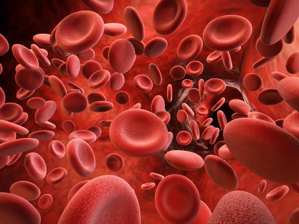 April 17: World Hemophilia Day | De Último Minuto English