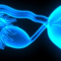 Ovarian cancer: the story of Consuelo Sáez, a testimony that can save lives | De Último Minuto English