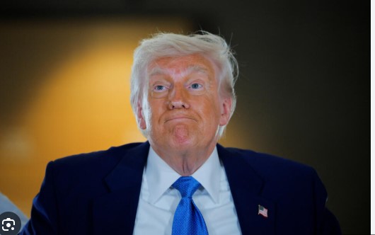 US business leaders ask Trump to soften his tough immigration policy | De Último Minuto English