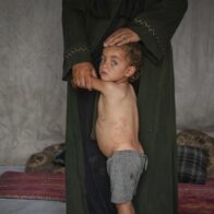 UN warns that 14,000 babies will die in Gaza within 48 hours if humanitarian aid does not arrive | De Último Minuto English
