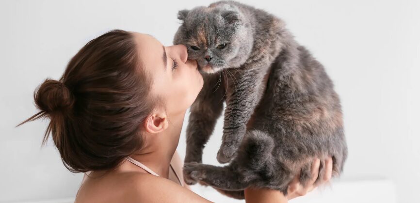 Cats can distinguish their owner using only their sense of smell, according to a study in Tokyo | De Último Minuto English