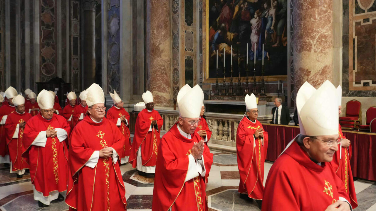 The Day of the Cardinals' Isolation | De Último Minuto English