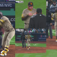 Bronx Drama: Parents Rage After Tatis and Shildt Ejections | De Último Minuto English