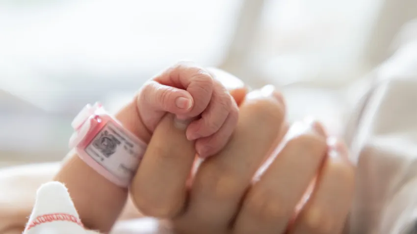 Learn about the most popular baby names in the USA | De Último Minuto English