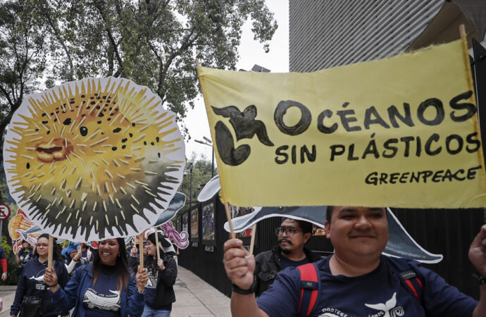Greenpeace celebrates Mexico's ratification of the Global Ocean Treaty | De Último Minuto English