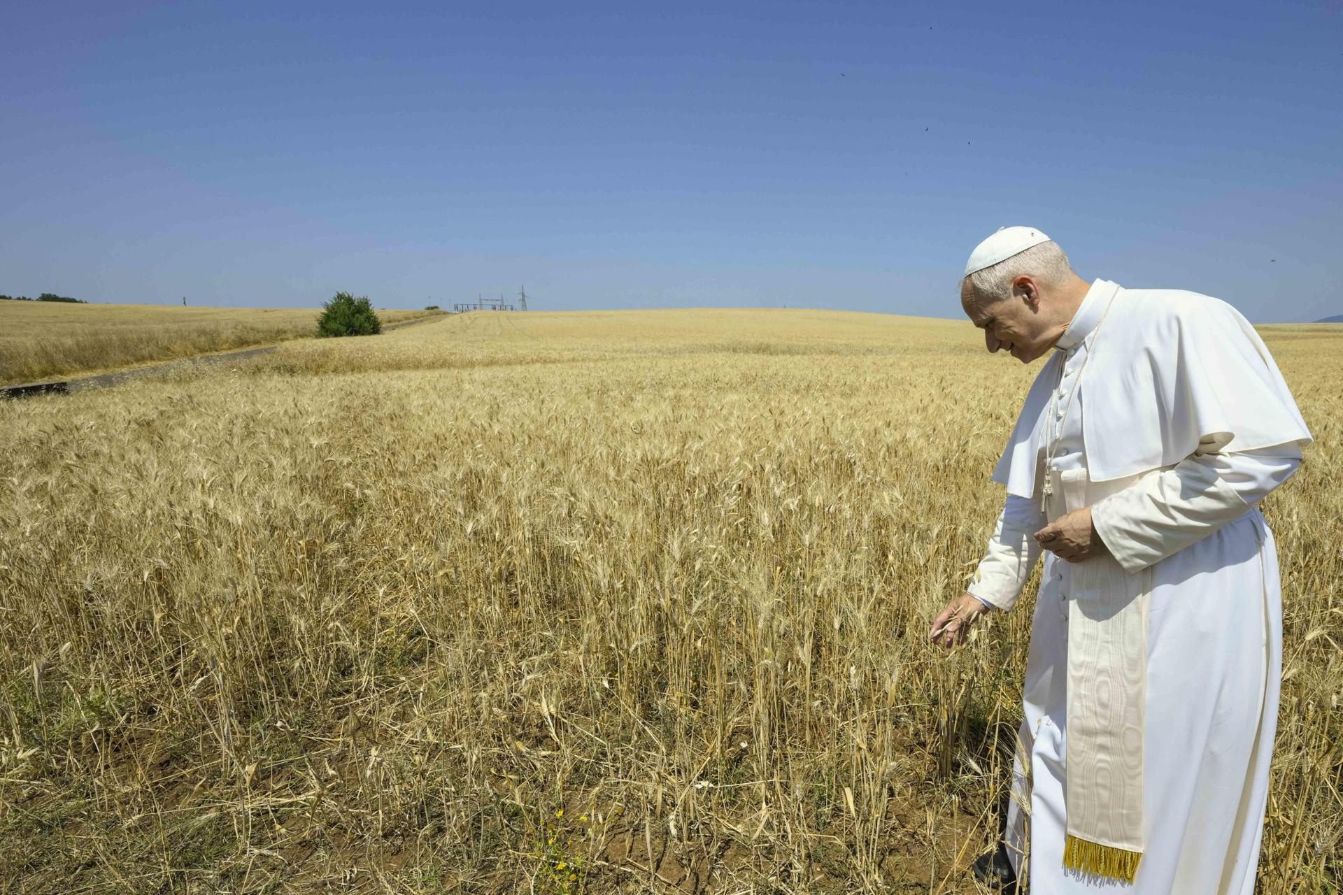 The Pope approves decrees to beatify 124 Andalusians murdered in the Civil War | De Último Minuto English