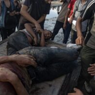 MSF calls for dismantling the US and Israel's "deadly aid distribution scheme" in Gaza | De Último Minuto English