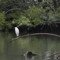 60% of marine ecosystems in Latin America are at serious risk, according to a report | De Último Minuto English