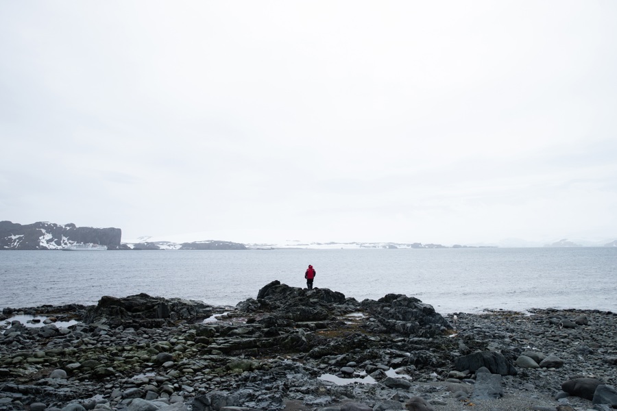 Noise pollution can cause stress and discomfort to animals in Antarctica | De Último Minuto English
