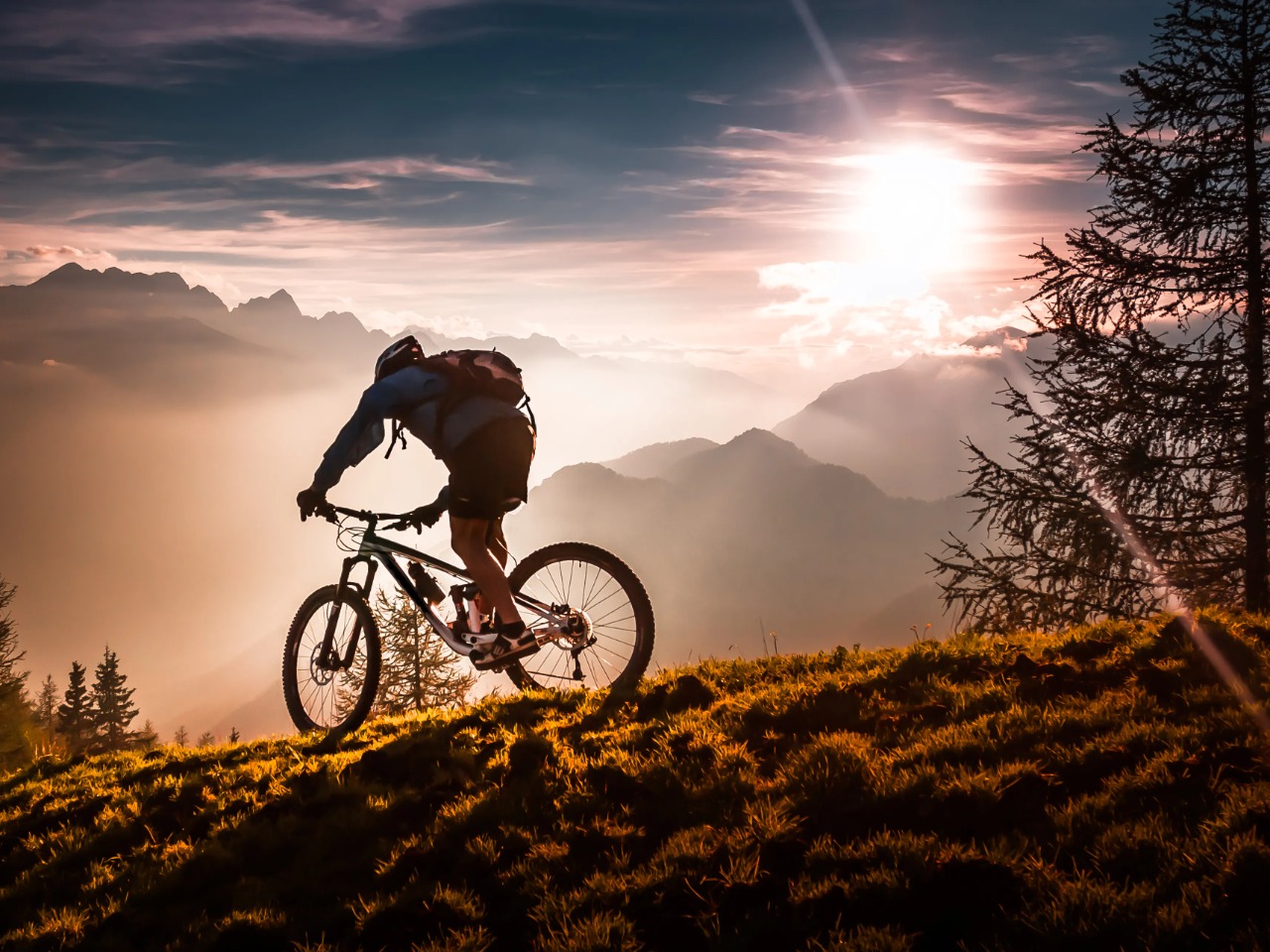 June 3: World Bicycle Day | De Último Minuto English