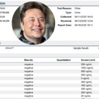 Elon Musk shares a urine analysis with negative drug test results | De Último Minuto English