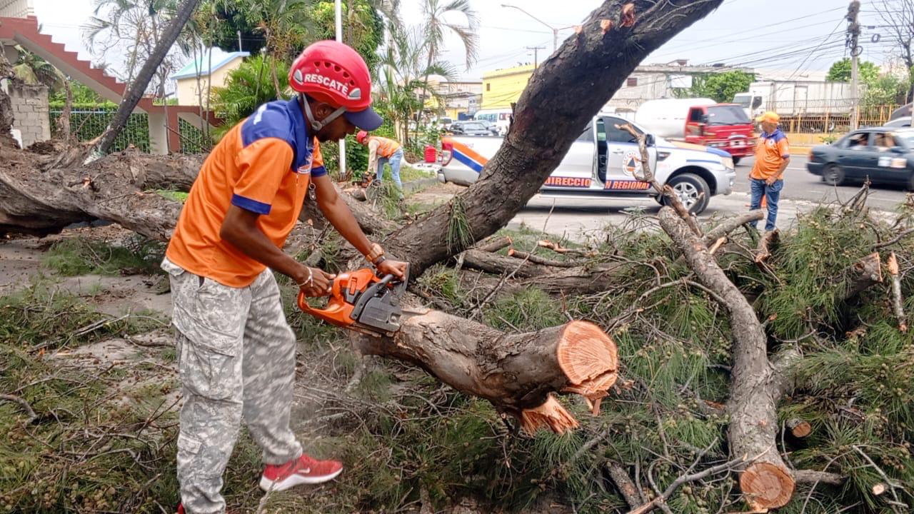 Strong wind causes damage in several locations in Santiago and other provinces of the region | De Último Minuto English
