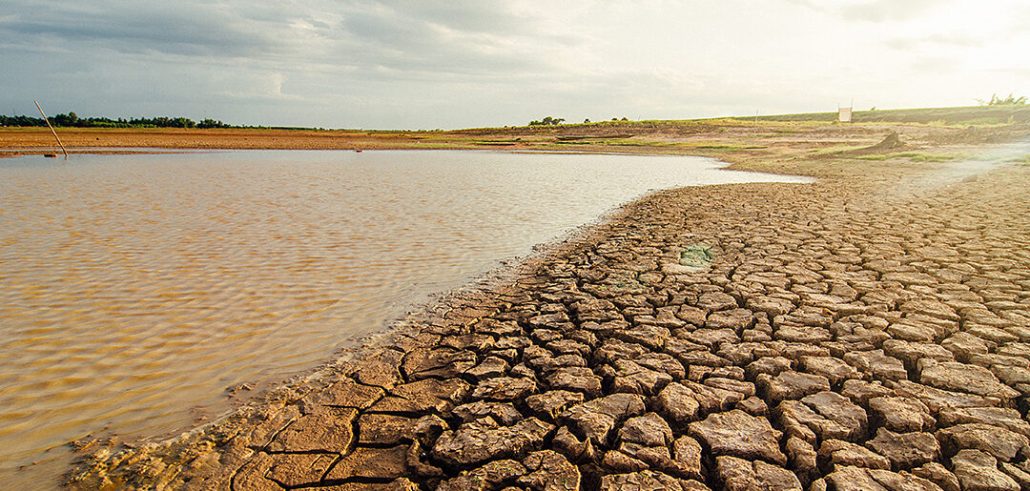 The earth needs us: June 17th commemorates World Day to Combat Desertification and Drought | De Último Minuto English