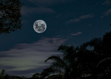 July 20: International Moon Day in homage to the first step off Earth | De Último Minuto English