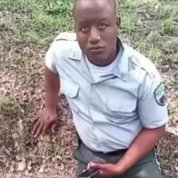 Traffic agent injured after collision with motorcycle in Monte Plata | De Último Minuto English