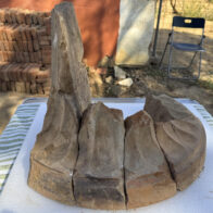The oldest Greek marble altar in the western Mediterranean has been found in Spain | De Último Minuto English