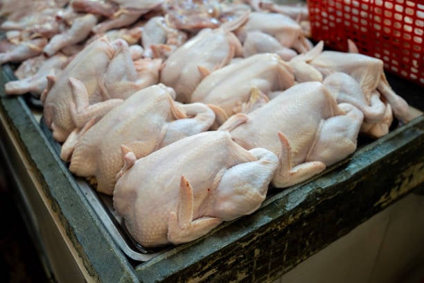 Cibao poultry producers denounce uncontrolled increase in chicken prices | De Último Minuto English
