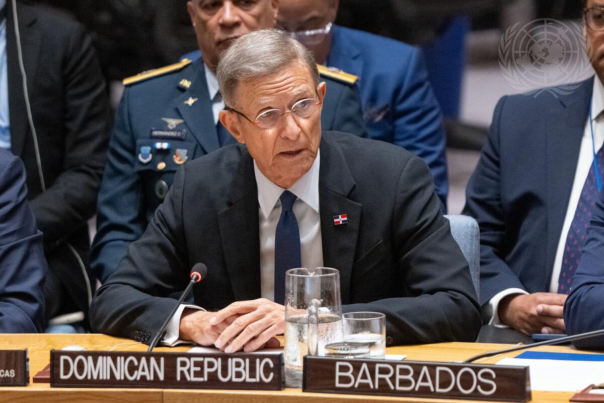 Álvarez urges the UN Security Council to act without delay in the face of the crisis in Haiti | De Último Minuto English