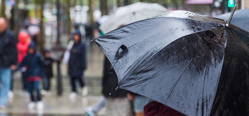 Trough and tropical wave will cause rain this Saturday | De Último Minuto English