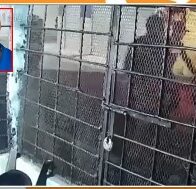 DICRIM agents shoot down alleged assailant in night operation in Baní | De Último Minuto English