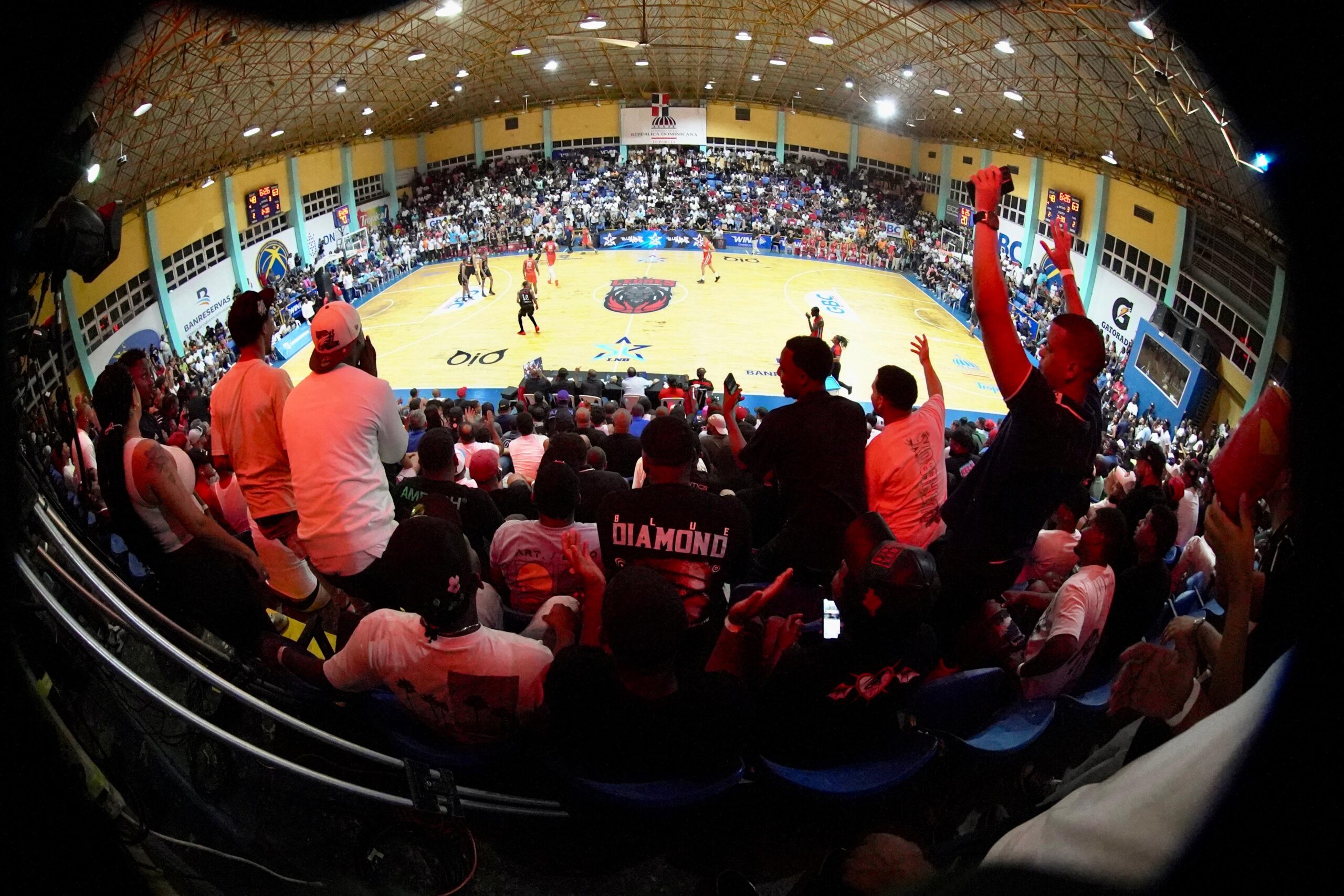 Southern Titans dominate from long distance and put the Lions against the ropes in Semifinal B | De Último Minuto English