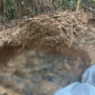 Eight bodies of social and religious leaders murdered in Colombia found in mass grave | De Último Minuto English