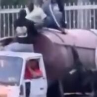 Twelve undocumented Haitians detained inside the tank of a tanker truck | De Último Minuto English