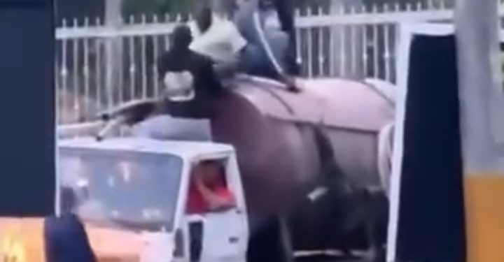 Twelve undocumented Haitians detained inside the tank of a tanker truck | De Último Minuto English