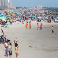 Authorities reinforce surveillance due to the presence of sharks on NY beaches | De Último Minuto English