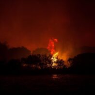 10 forestry workers die in Turkey while fighting a fire | De Último Minuto English