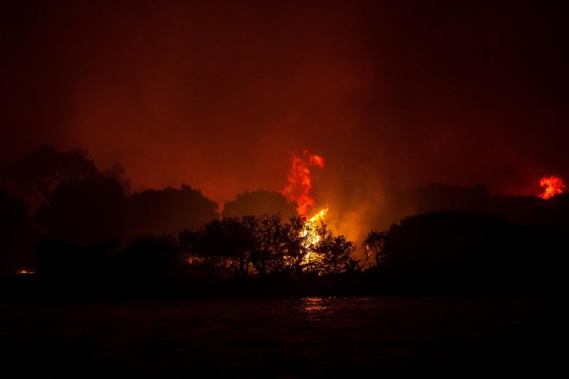 10 forestry workers die in Turkey while fighting a fire | De Último Minuto English
