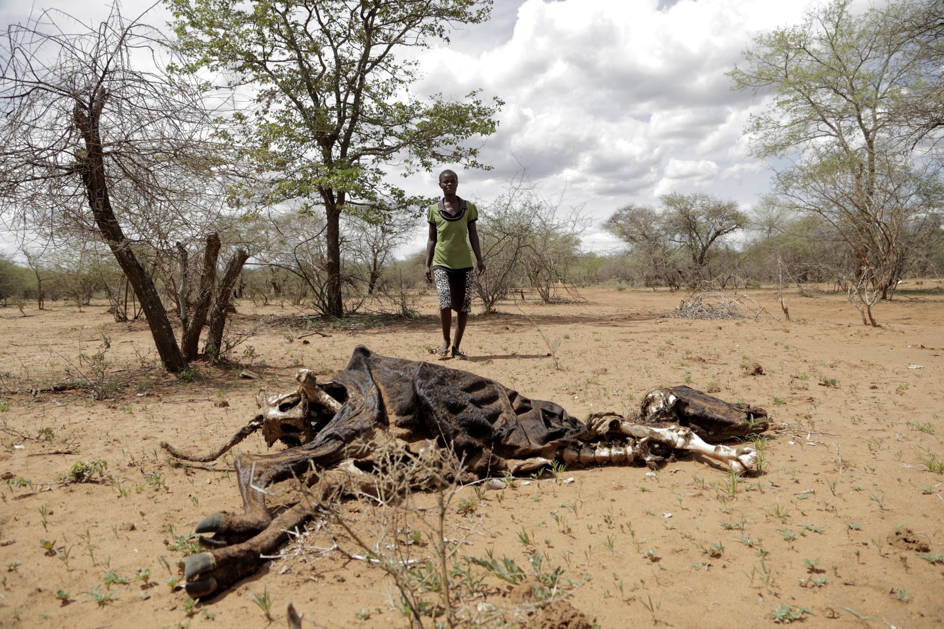 Since 2023, more damaging and widespread drought periods have been recorded, according to a study | De Último Minuto English