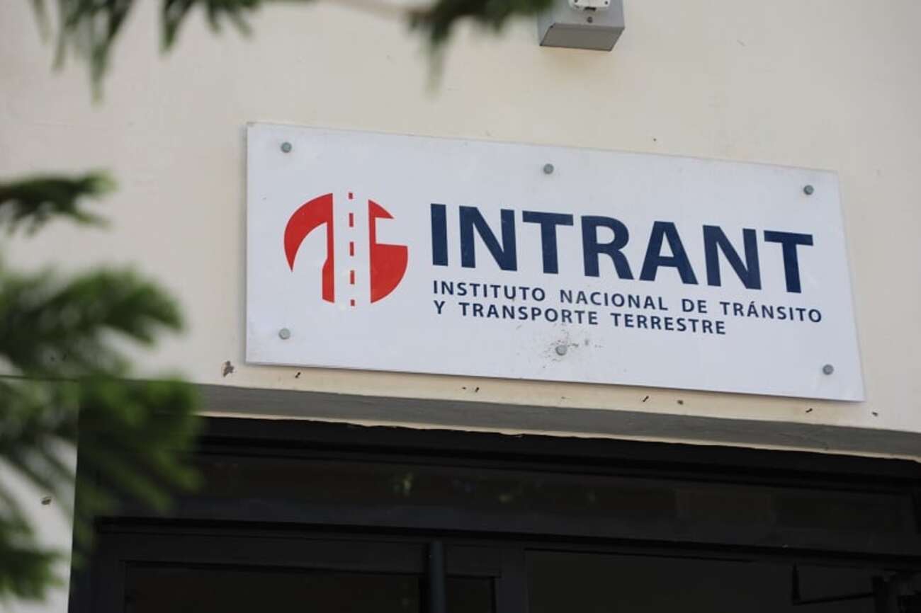 Intrant clarifies that the bidding process for the issuance of driver's licenses has not been suspended. | De Último Minuto English