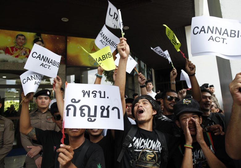 Vendors and farmers protest in Bangkok over threat to re-penalize cannabis | De Último Minuto English