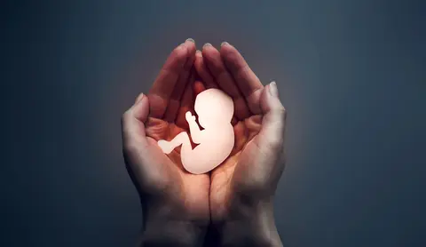 New Criminal Code contemplates one of the three grounds for abortion | De Último Minuto English