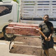 Army detains 31 undocumented Haitians in operations in Santiago Rodríguez and Montecristi | De Último Minuto English
