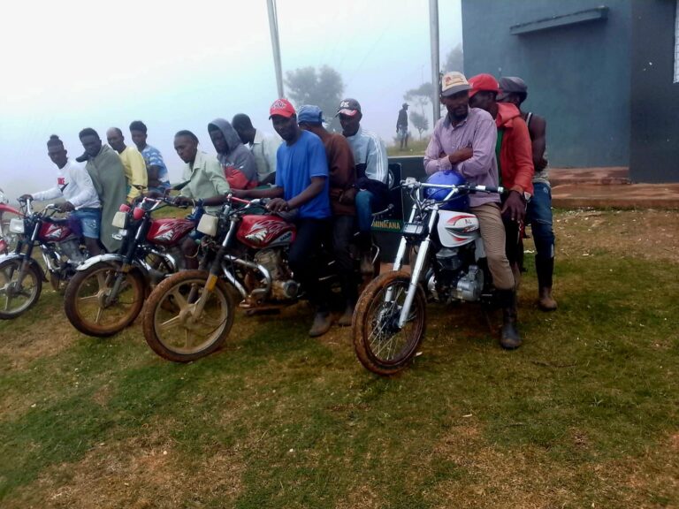 Army intercepts 14 undocumented Haitians in Calimete, Montecristi | De Último Minuto English