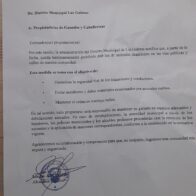 Las Galeras prohibits loose animals after road accidents | De Último Minuto English