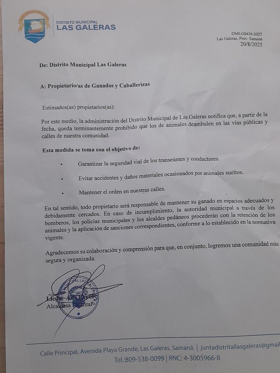Las Galeras prohibits loose animals after road accidents | De Último Minuto English