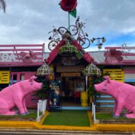 "Series 50": a picturesque corner that combines art, gastronomy, and history in Jarabacoa | De Último Minuto English