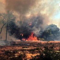 Several fires are declared this Tuesday in Greece and spread due to the strong wind | De Último Minuto English