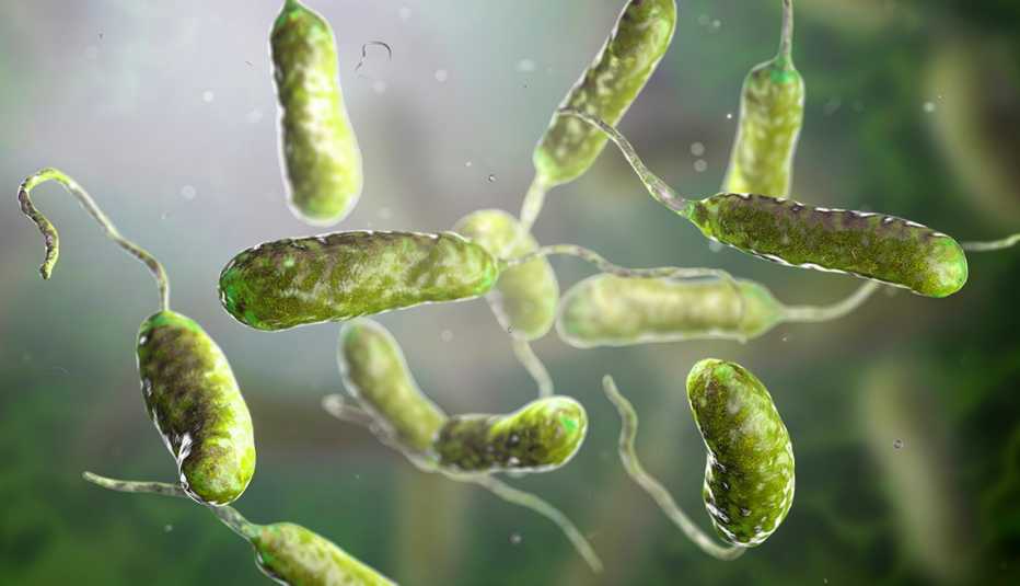 Public Health investigates death allegedly linked to "flesh-eating" bacteria | De Último Minuto English